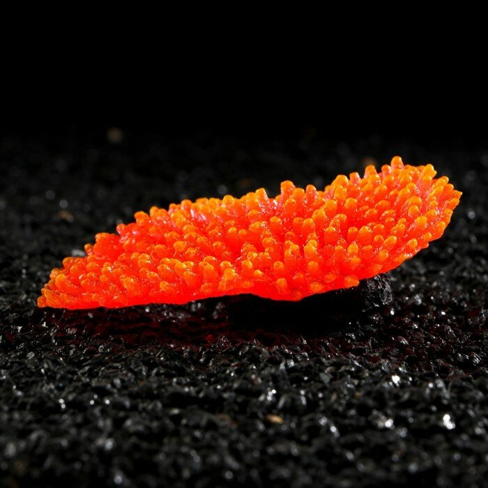 Декор для аквариума "Коралл" силиконовый, светящийся в темноте, 10 х 4,5 см, красный - фотография № 3