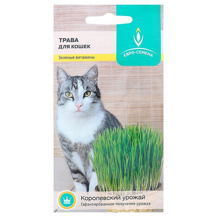 Семена Трава для кошек, 10 г 20 упаковок