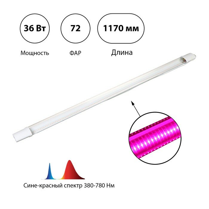 Фитосветильники ЭРА Фитосветильник светодиодный, 36 Вт, 1170 мм, IP65, сине-красный спектр, фиолетовый, «ЭРА» - фотография № 1