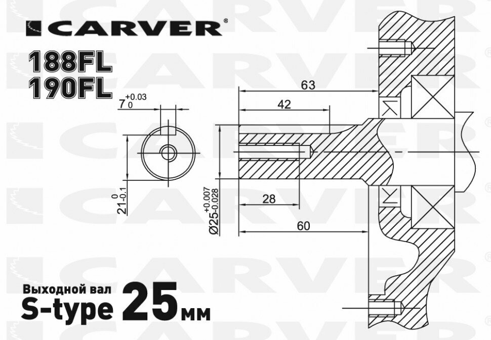 CARVER 190FL (4-такт, 15 л.с.) Двигатель - фотография № 2