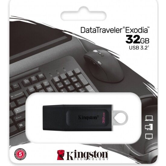 USB флешка Kingston 32Gb DTX/32Gb USB 3.2 Gen 1 (USB 3.0)