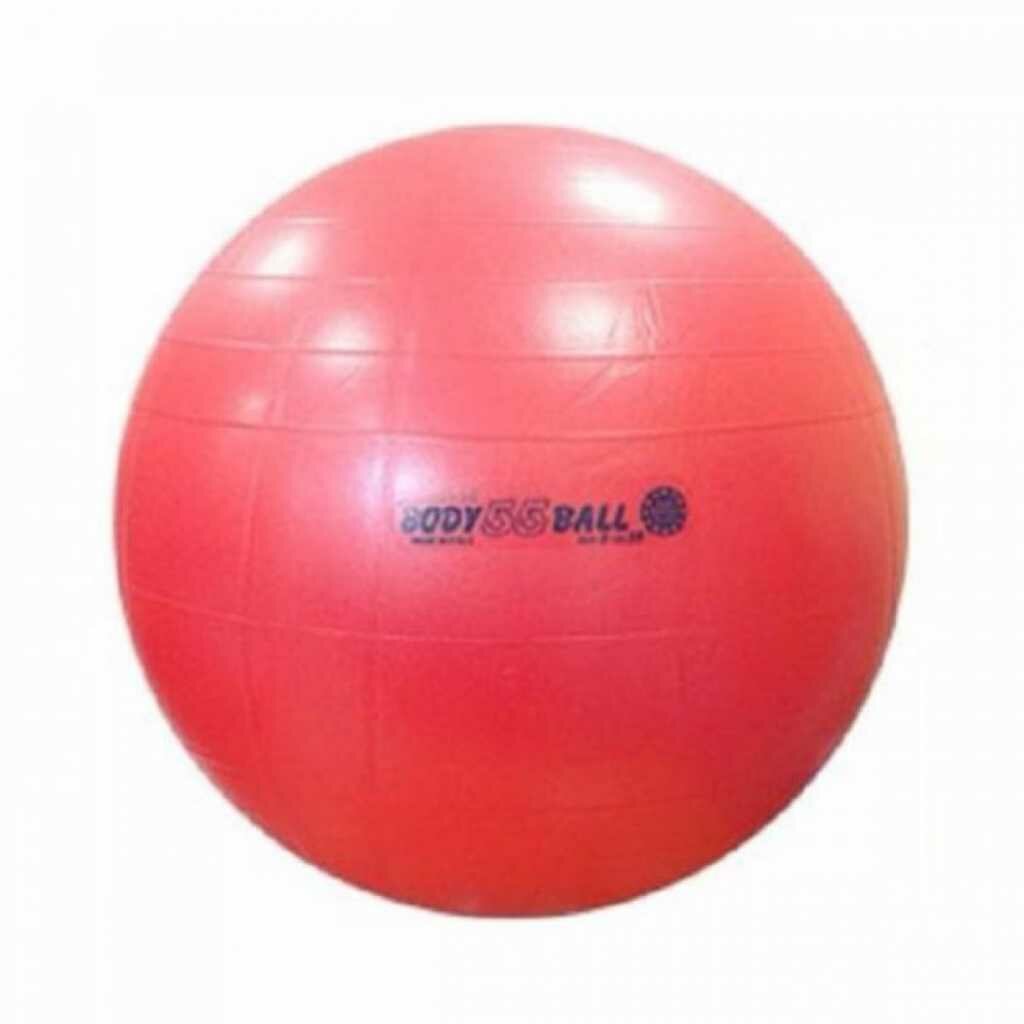 Мяч 55см Body ball с BRQ 90.55 Orto