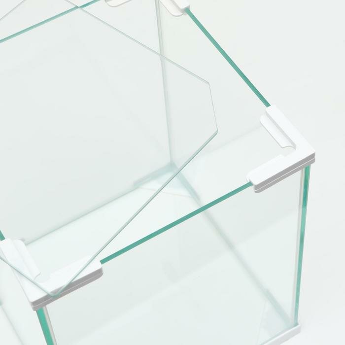 Аквариум Куб белый уголок, покровное стекло, 50л, 35 x 35 x 40 см - фотография № 5