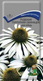 Рудбекия пурпурная Белая лебедь многол. 01гр. (Поиск)