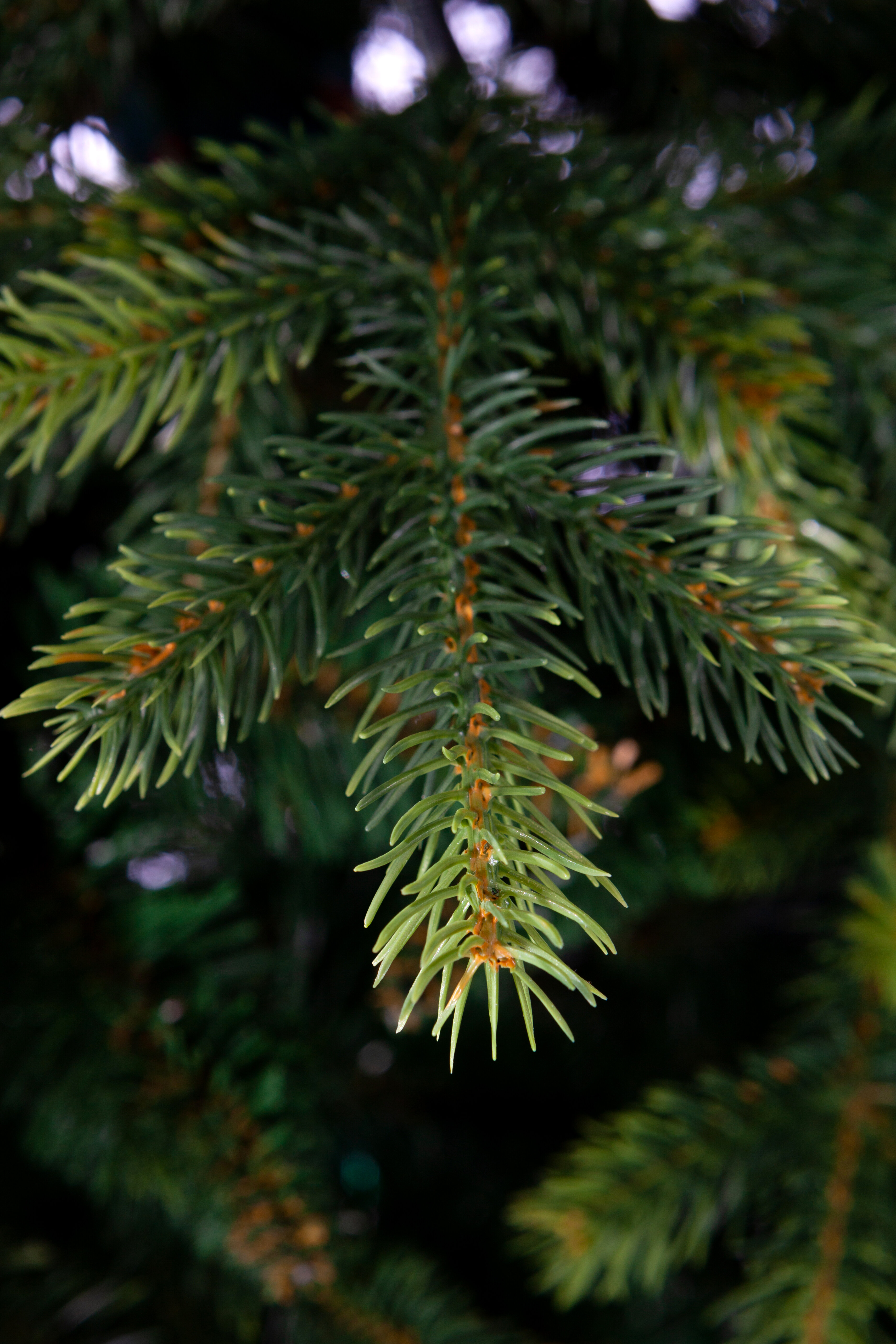Ель искусственная Crystal Trees KP6218 180 см зеленая - фото №4