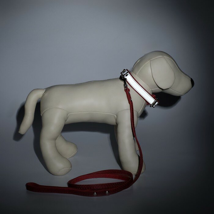 Ошейник для собак Пушистое счастье светоотражающий, с поводком, красный - фотография № 3