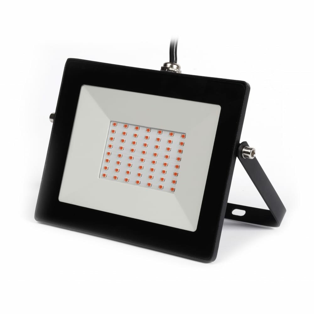 фото Прожектор Smartbuy sbl-flfito-50-65k