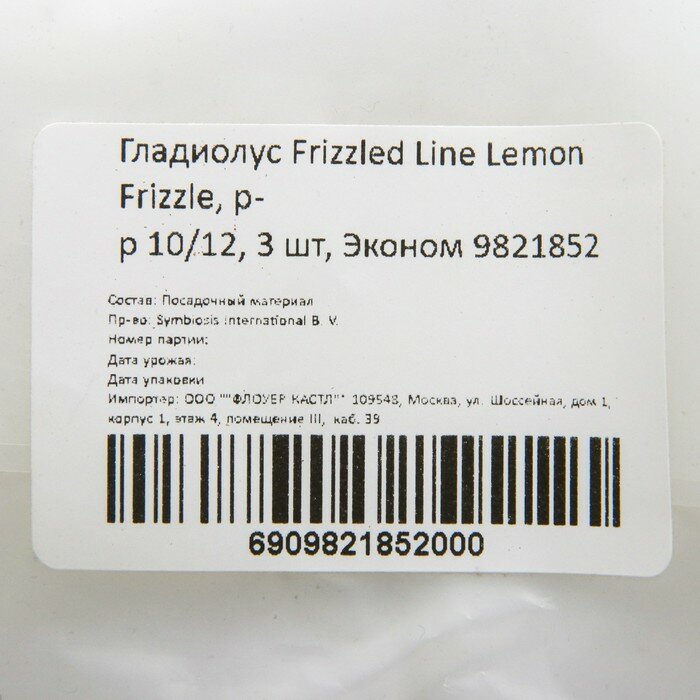 Гладиолус Frizzled Line Lemon Frizzle, р-р 10/12, 3 шт, Эконом - фотография № 2