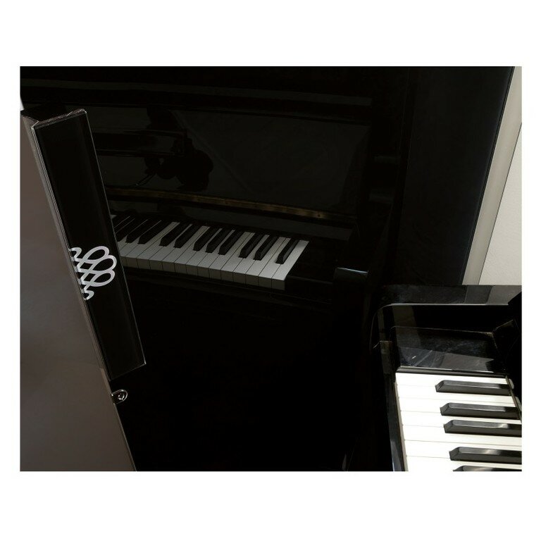 Винный шкаф EuroCave V-Pure-M Сплошная дверь Black Piano, цвет - черный, максимальная комплектация - фотография № 3