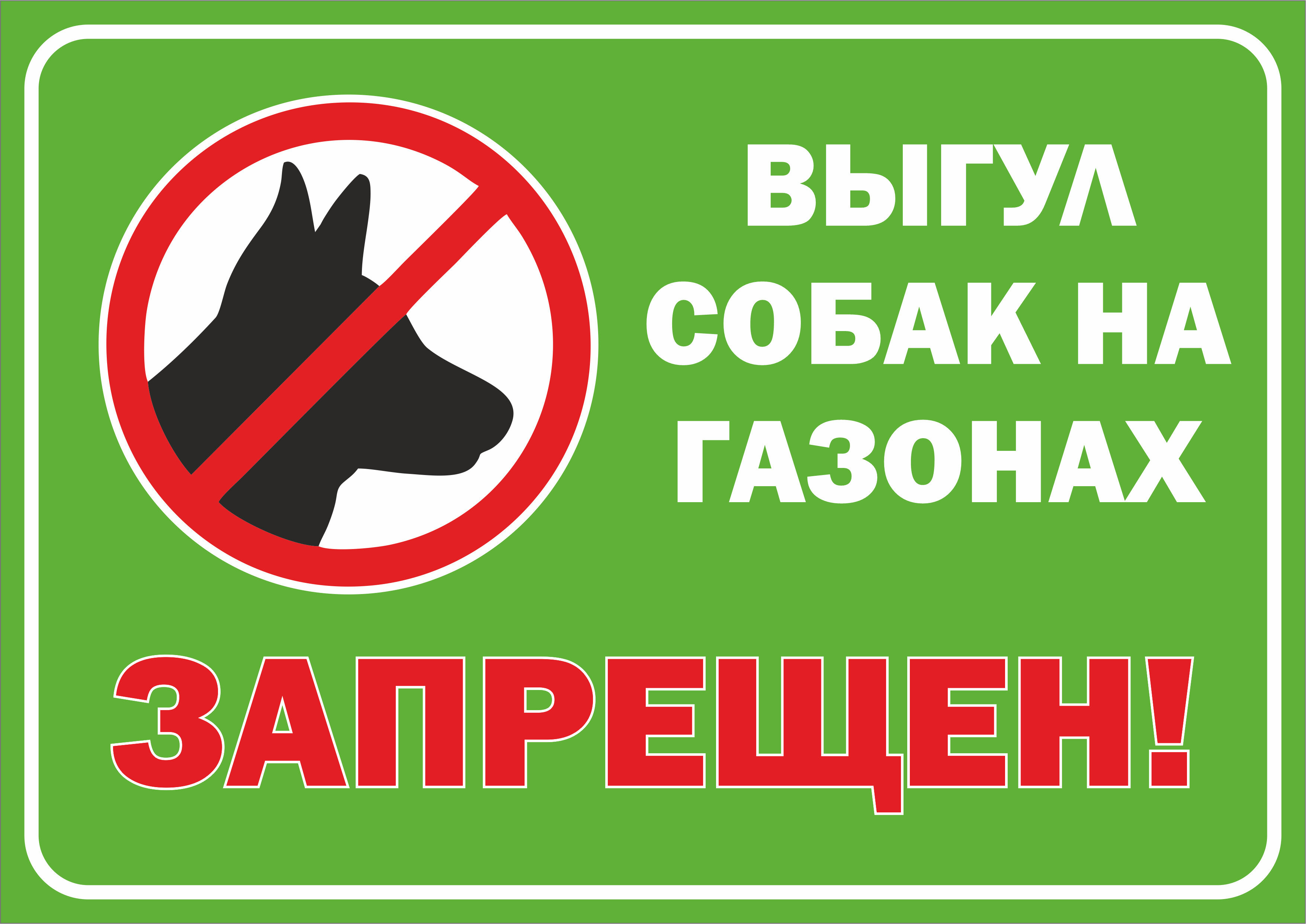 Табличка Выгул собак на газонах, запрещен! 297210 мм А4