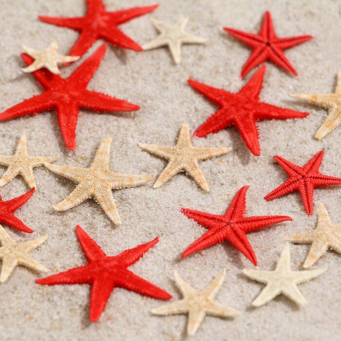 Набор натуральных морских звезд Пижон Аква 1,5-2,5 см, 20 шт, красные-белые - фотография № 1