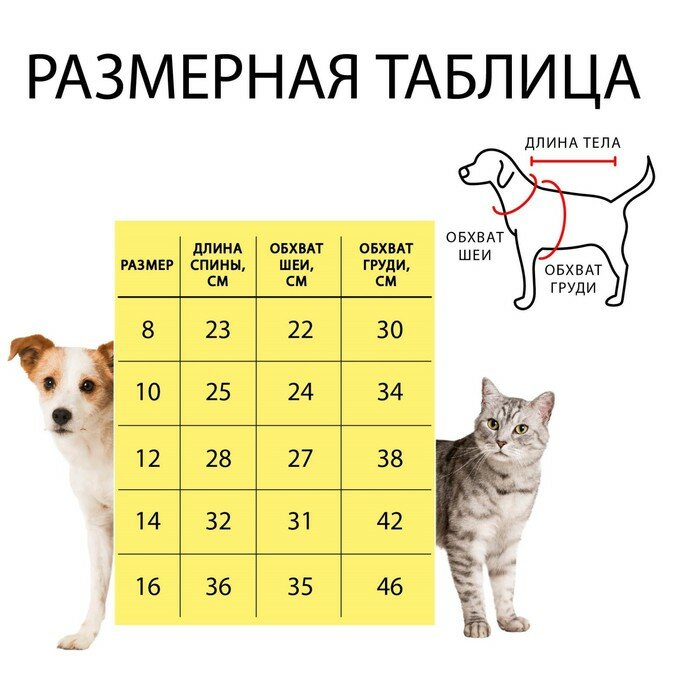 Комбинезон с замком на спине, размер 10 (ДС 25 см,ОГ 34 см,ОШ 24 см), розовый - фотография № 10