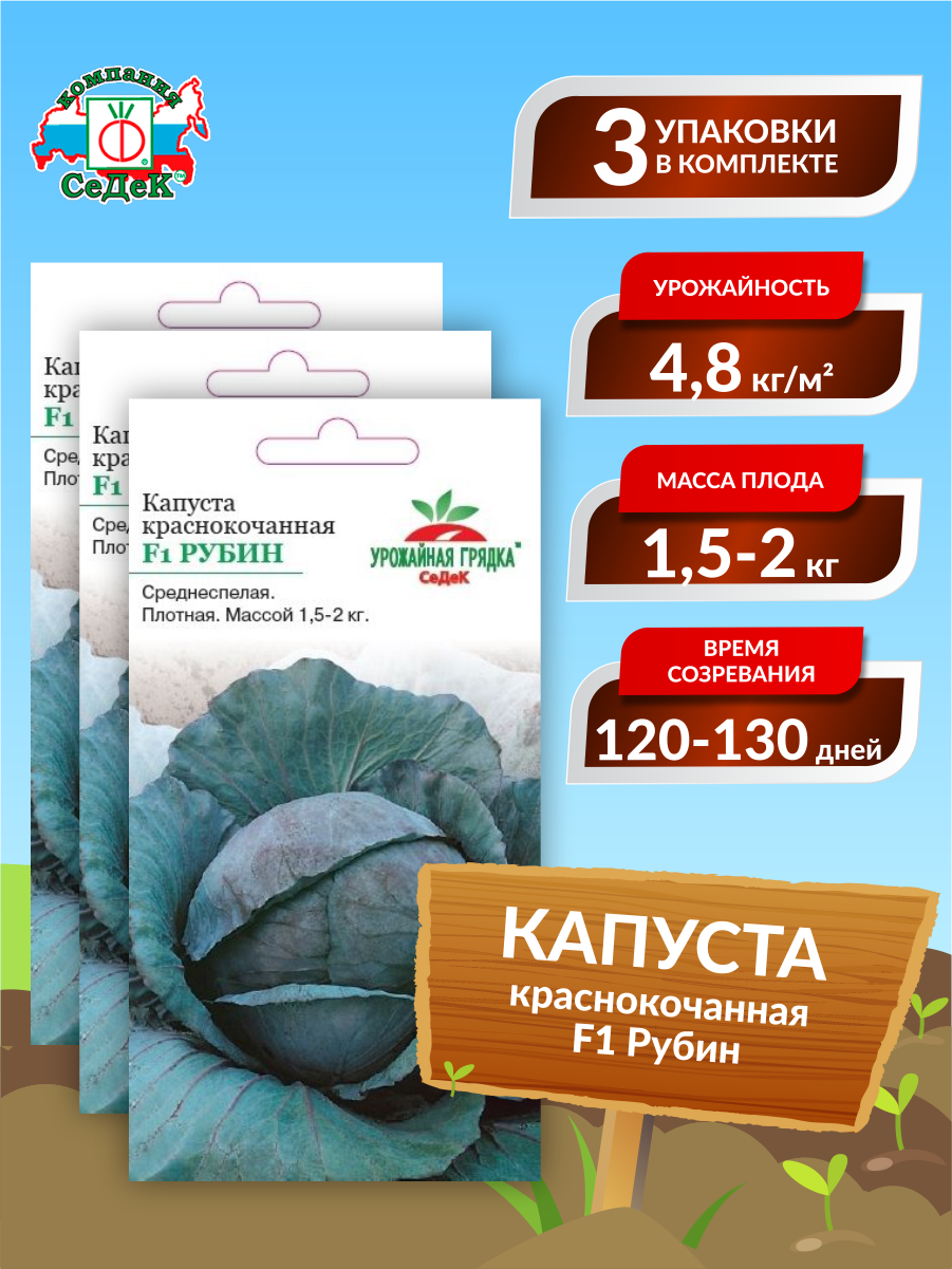 Семена Капуста краснокочанная Рубин F1 Среднеспелые 05 гр. х 3 шт.
