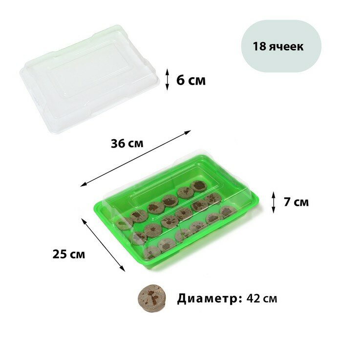 Мини-парник для рассады: торфяная таблетка d = 42 см (18 шт.) парник 36 × 25 см зелёный