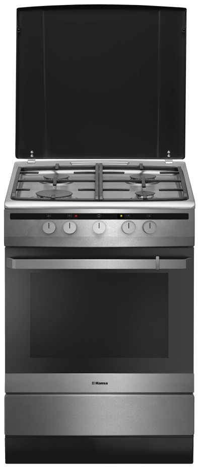 Плита газоэлектрическая Hansa FCMX68022