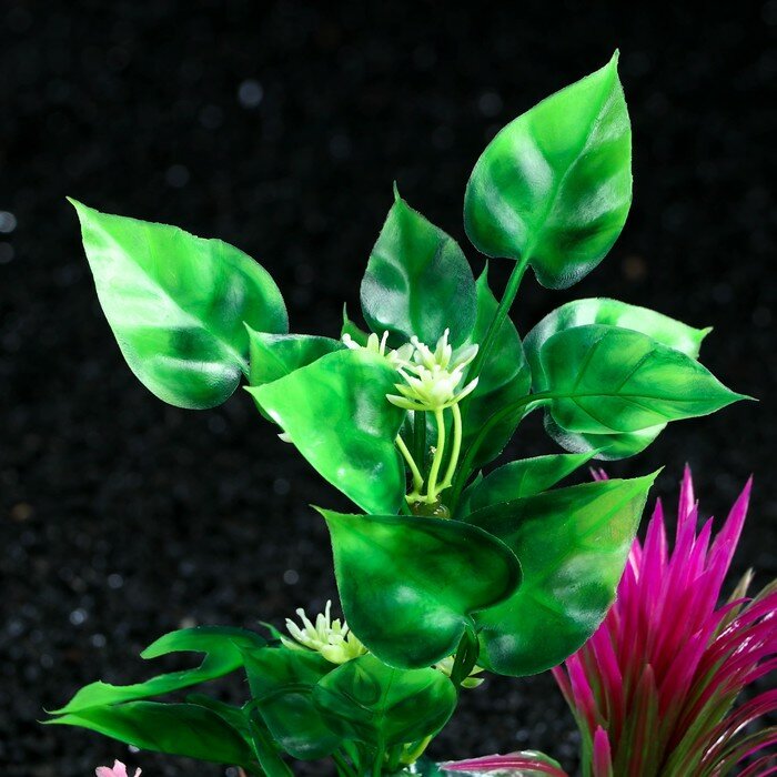 Растение искусственное аквариумное на платформе в виде коряги, 18 см, зелёно-розовое - фотография № 3