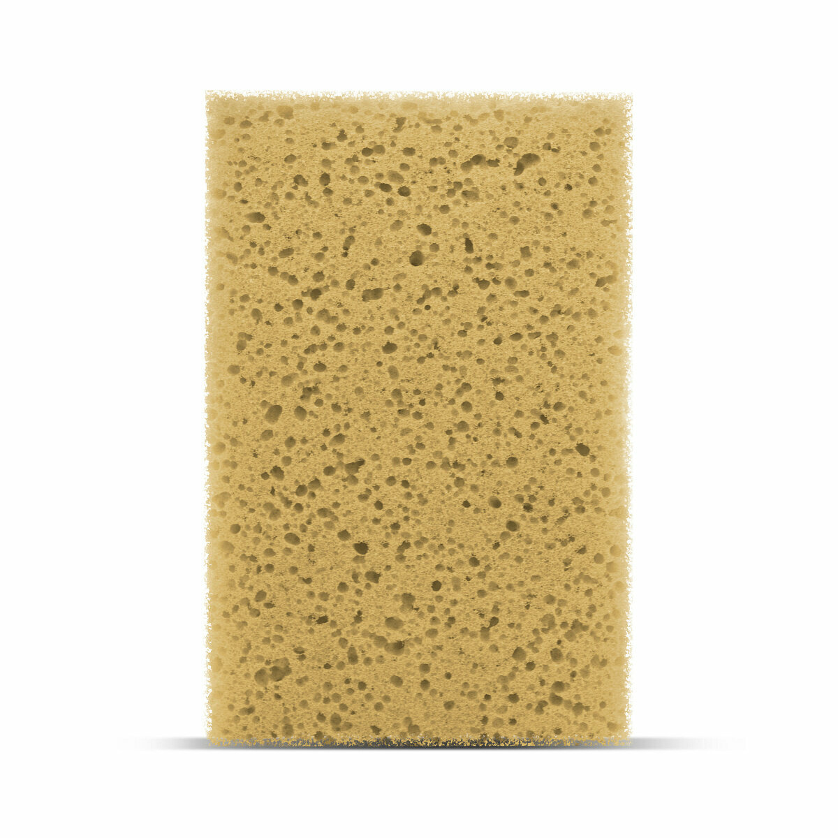     Grass Car Sponge  DT0166