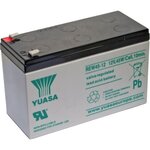 Аккумуляторная батарея YUASA REW45-12 - изображение