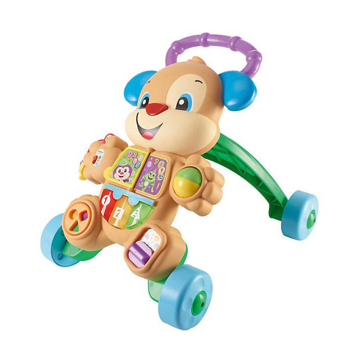 Ходунки Ученый Щенок Fisher Price