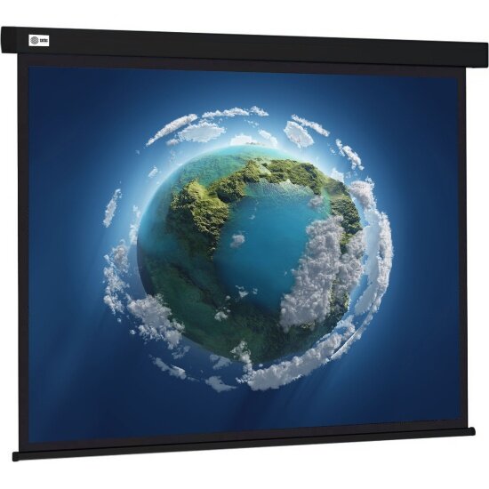 Рулонный cactus Wallscreen CS-PSW-168X299-BK