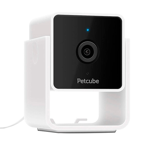 Камера наблюдения за домашними животными Petcube Cam