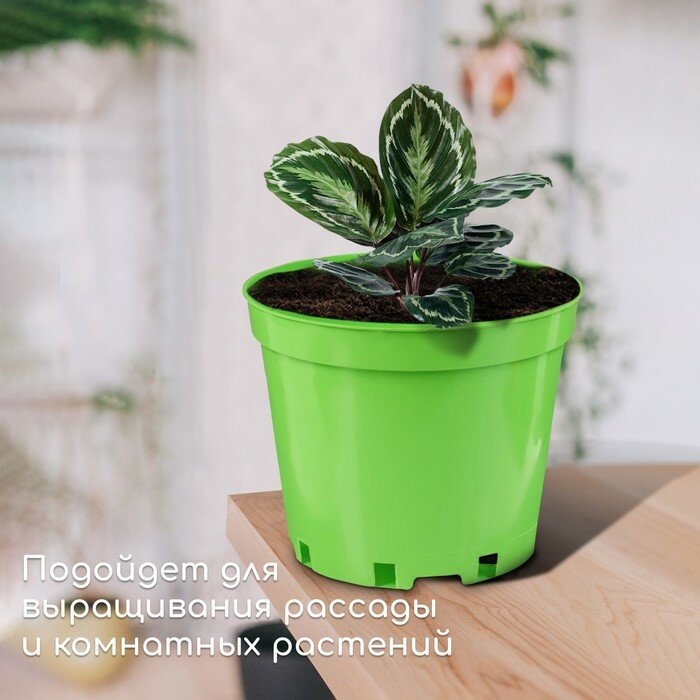 Горшок для рассады, 5 л, d = 22 см, h = 18 см, зелёный, Greengo - фотография № 3