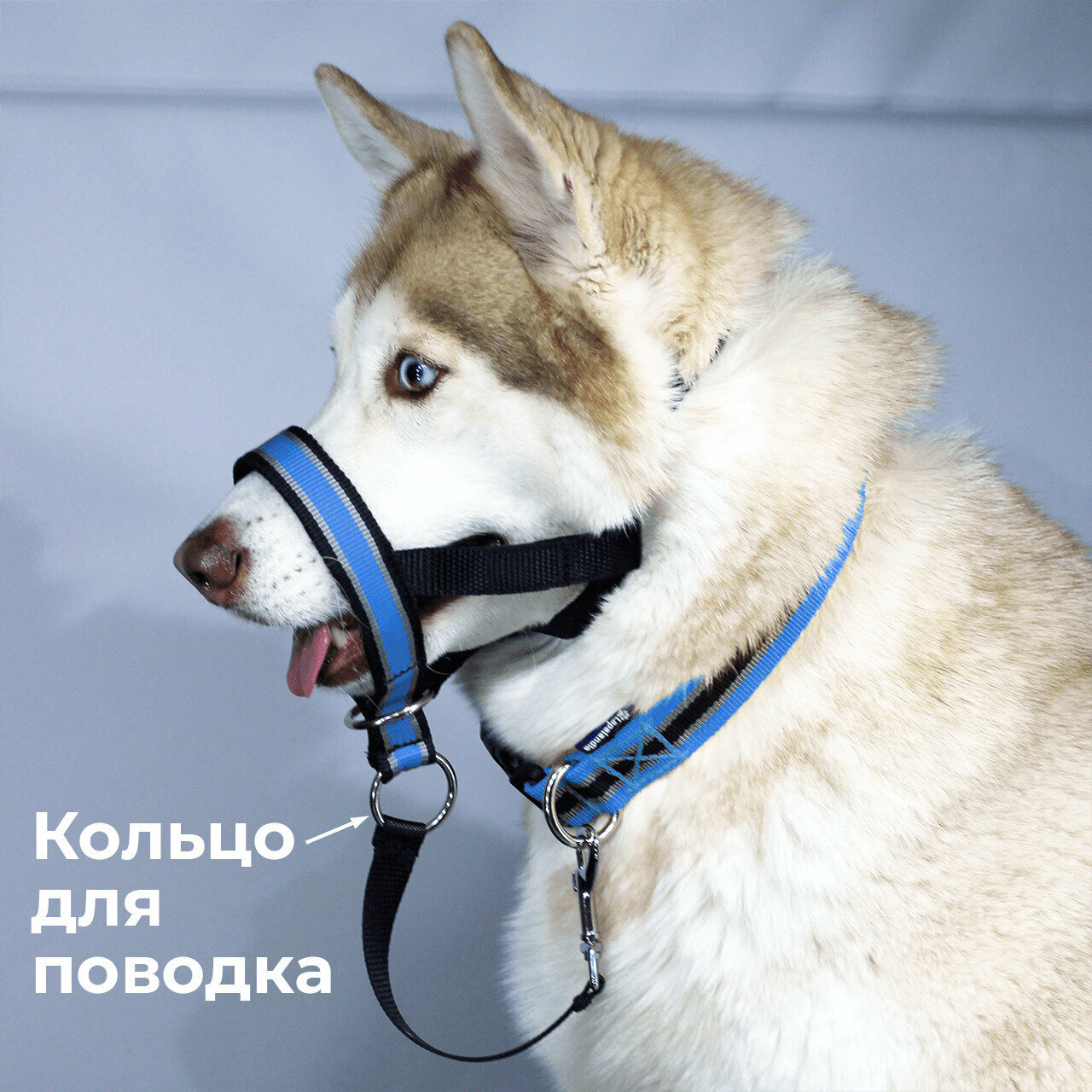 Недоуздок для собак White Wolf (корректор поведения, халти) Спорт Синий - фотография № 2