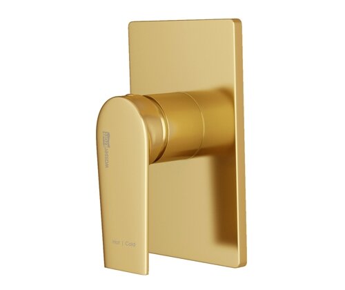 Смеситель для душа WasserKRAFT Aisch 5551 встраиваемый, золото матовое