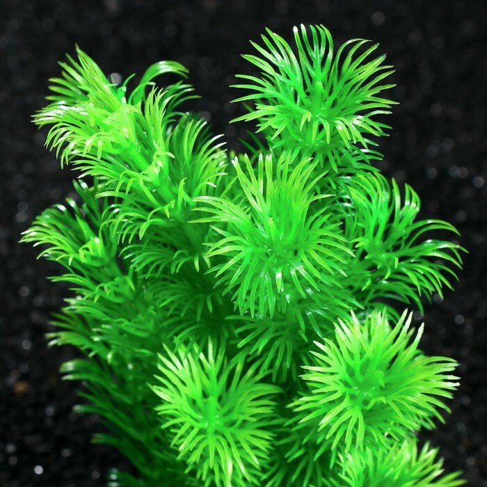 Пижон Аква Растение искусственное аквариумное - фотография № 4