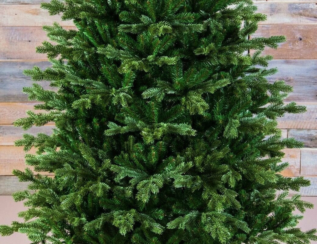 Ель новогодняя Triumph Tree Sherwood Spruce 260 см - фото №2