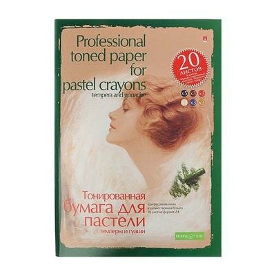 Папка для пастели А4, 20 листов "Профессиональная серия", блок 6 цветов, 150-230 г/м2 1113871 .