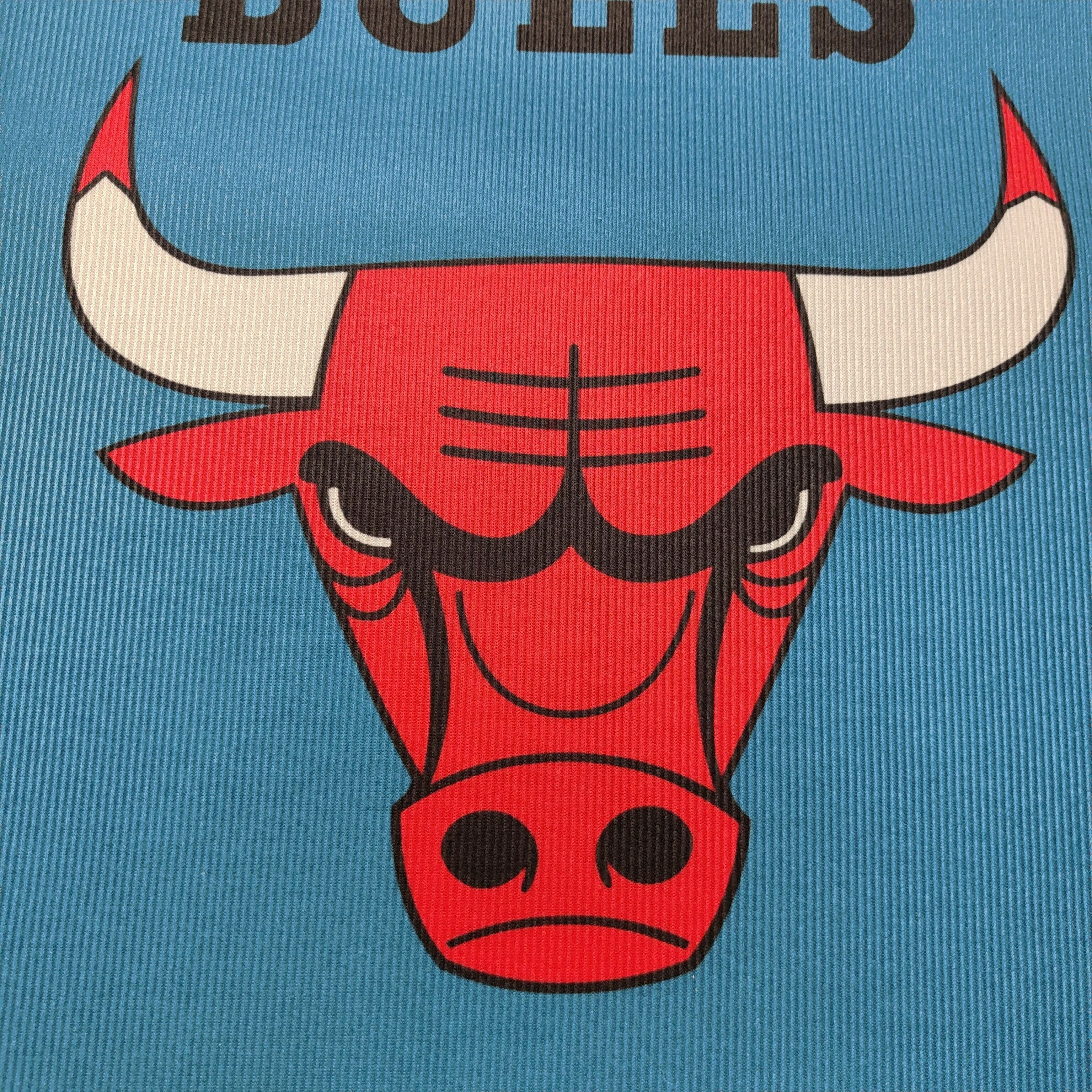 Коврик 50x80 см Чикаго Буллз, Ковер безворсовый Chicago Bulls - фотография № 4