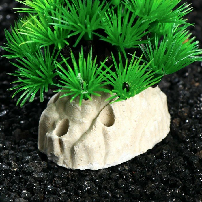 Растение искусственное аквариумное, 9 см - фотография № 3