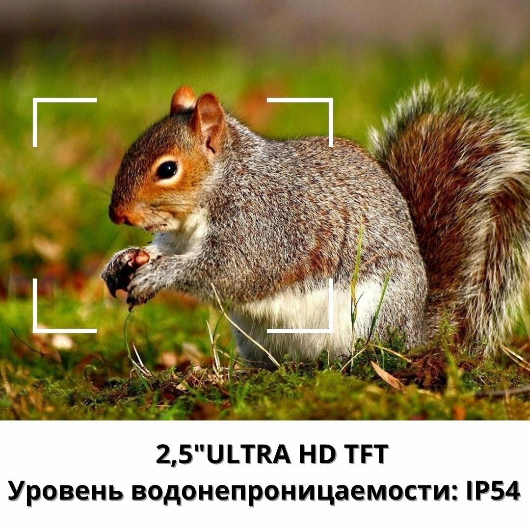 Тактический инфракрасный бинокль ночного видения 6х ANYSMART — фото 3