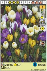 Луковицы Крокус HOLLAND BULB MARKET Крокус Микс 6/7 10шт