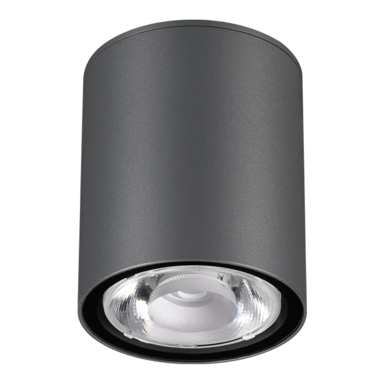 358011 STREET NT19 177 темно-серый Ландшафтный светильник IP65 LED 3000К 6W 220V TUMBLER