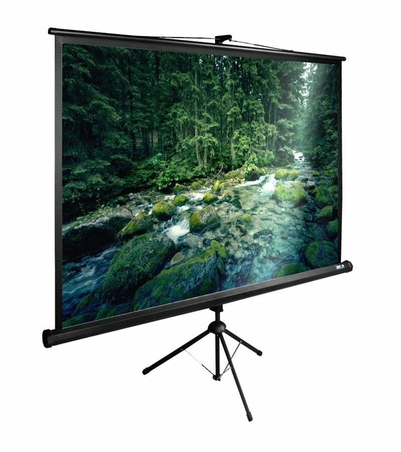 Экран Cactus 165x220см TriExpert 4:3 напольный рулонный черный CS-PSTE-220X165-BK