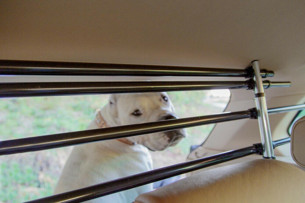 Перегородка металлическая в автомобиль DOG CAR SECURITY (для собак) - фотография № 10