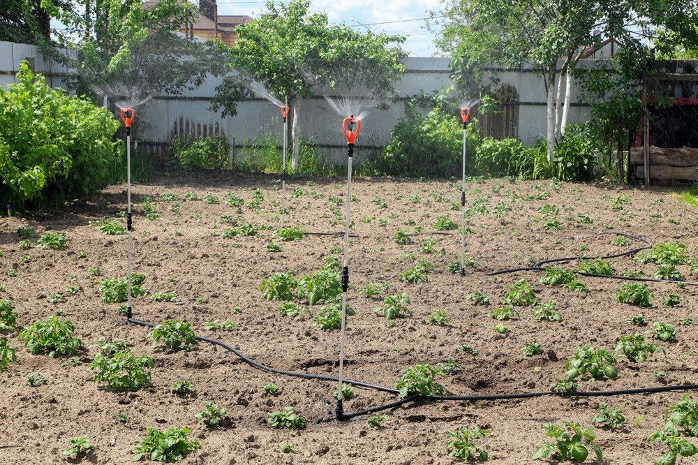 Капельный полив картофельных полей, овощей, газонов Жук 100 м2 для огорода - фотография № 2