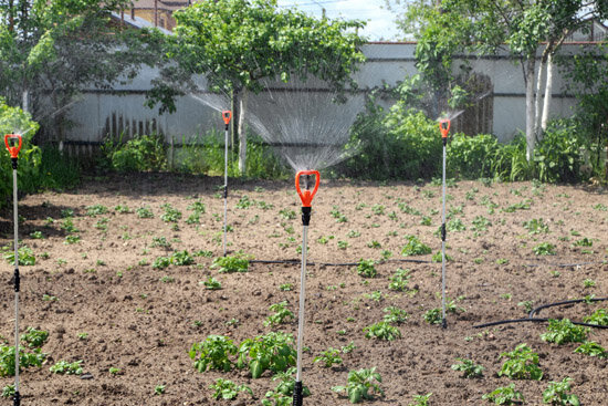 Капельный полив картофельных полей, овощей, газонов Жук 100 м2 для огорода - фотография № 8
