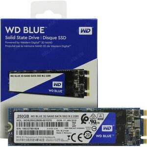 SSD Western digital Blue 250 Гб WDS250G2B0B