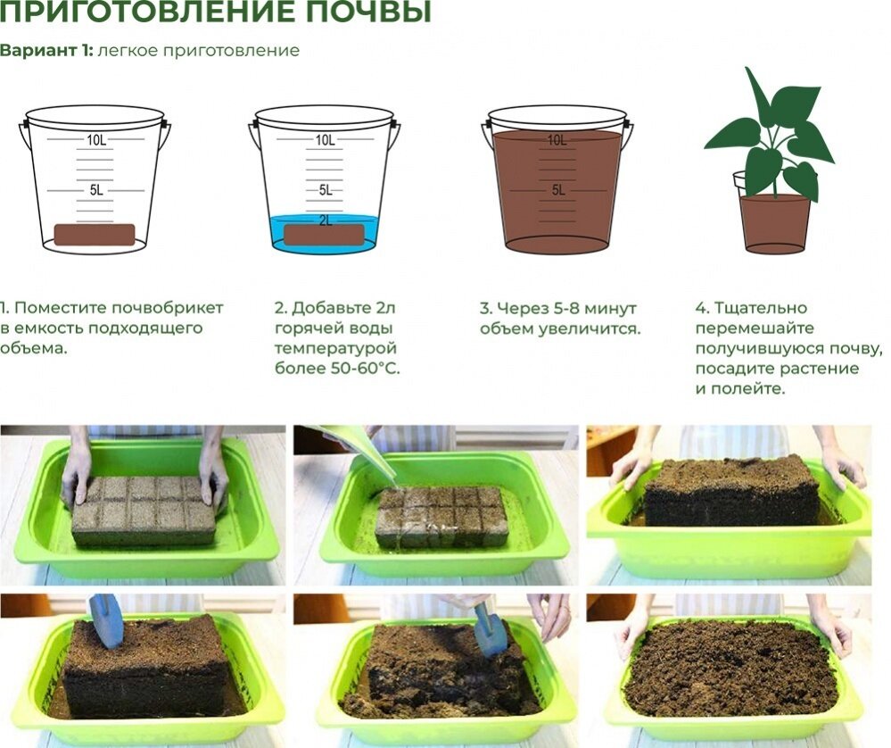 БиоМастер Почвобрикет Бегония круглый БиоМастер, 4 шт по 2,5 л - фотография № 3