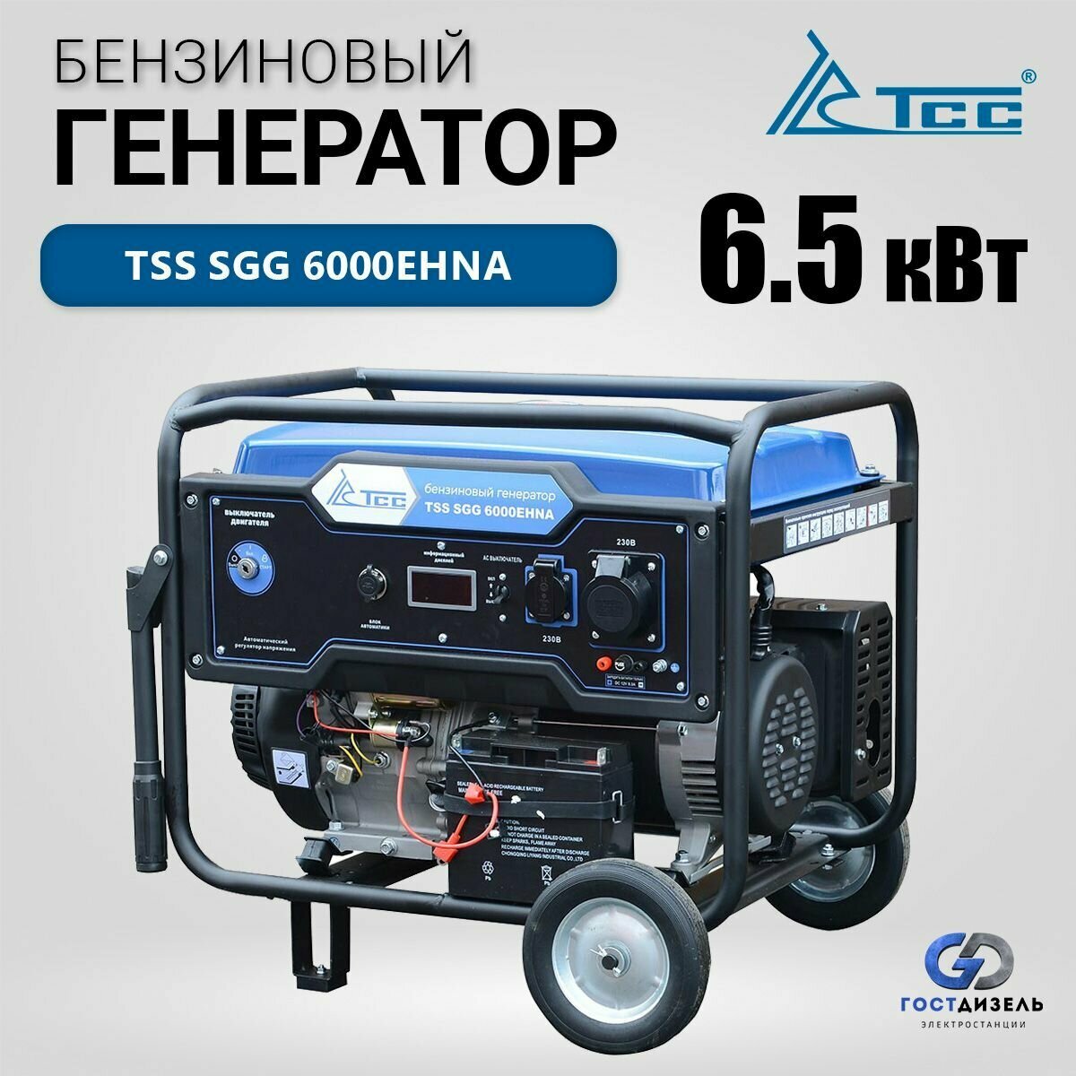 Генератор бензиновый TSS SGG 6000EHNA