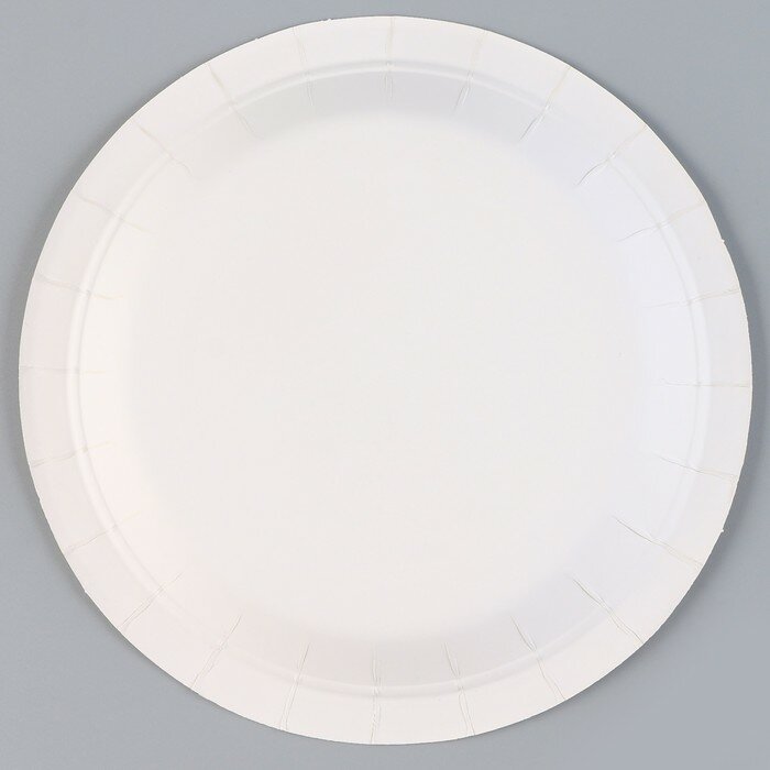 Тарелка бумажная «Горох», в наборе 6 шт., цвет серебро - фотография № 3