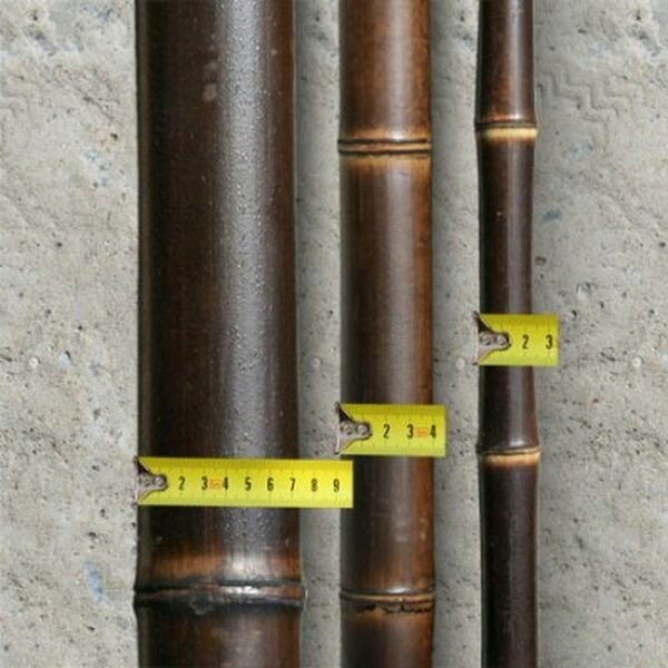 Половинка бамбука шоколадная D 20-30мм. Длина 2.9-3м. - фотография № 4
