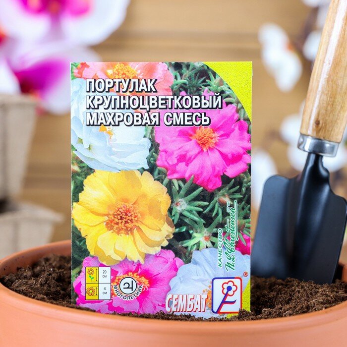 Сембат Семена цветов Портулак Крупноцветковый махровая смесь 005 г