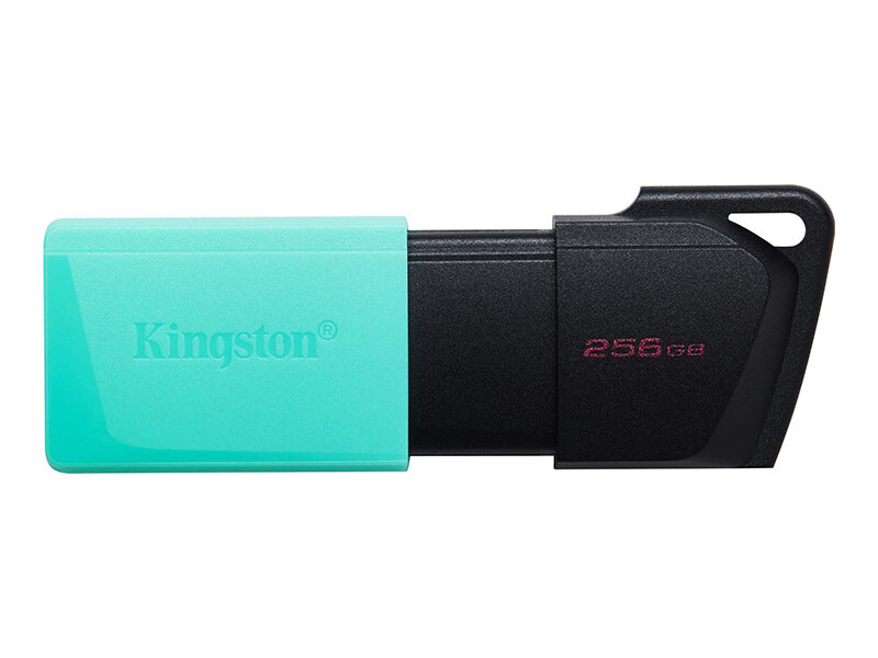 Флешка 256Gb Kingston DTXM/256GB USB 3.2 зеленый черный