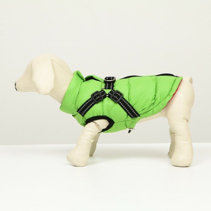 Куртка для собак со шлейкой, размер 16 (ДС 36 см, ОГ 46 см, ОШ 35 см), салатовая - фотография № 4