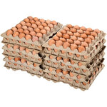 Яйцо куриное Красногорка C1, 360 шт - изображение