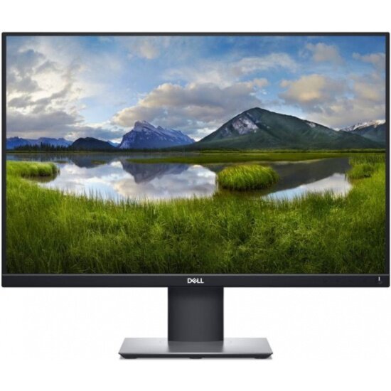 Монитор DELL P2421 23.8" Black (2421-0773)